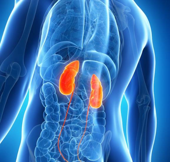 Почечная недостаточность оказывает негативное воздействие на организм почечная недостаточность при беременности