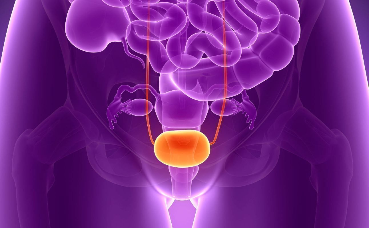 Уролог папиллома - Лечение папиллом