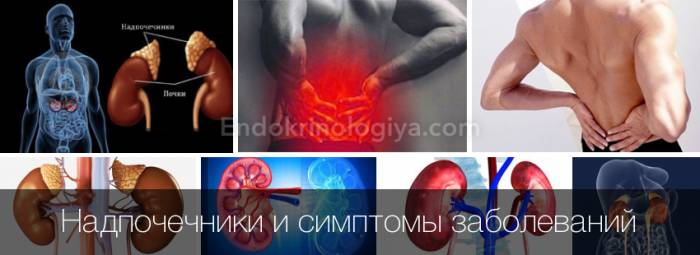 simptomy-zabolevaniya-nadpochechnikov-u-muzhchin.png